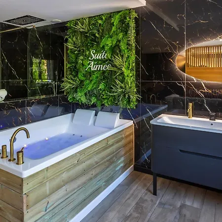 La Aimee - Espace Relaxant Avec Balneo Appartement Angoulême