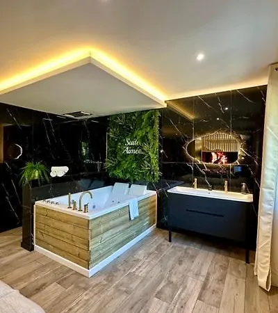 La Aimée - Espace Relaxant Avec Balnéo Appartamento *