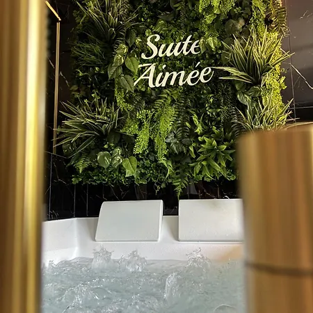 La Aimee - Espace Relaxant Avec Balneo Apartament *